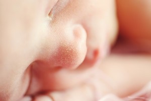 bebe - copie