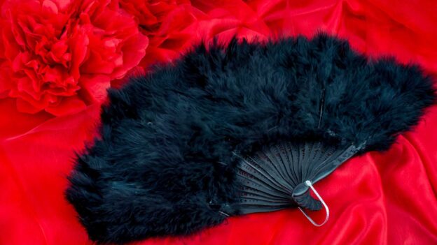 Accessoires coquin