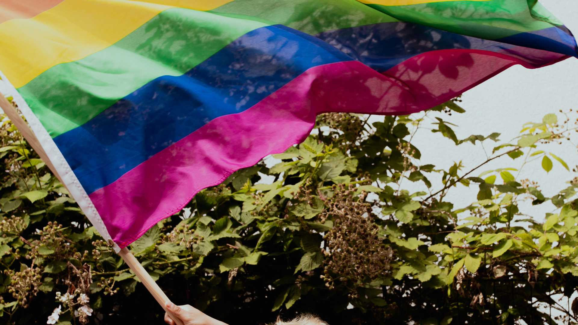 Drapeau LGBT