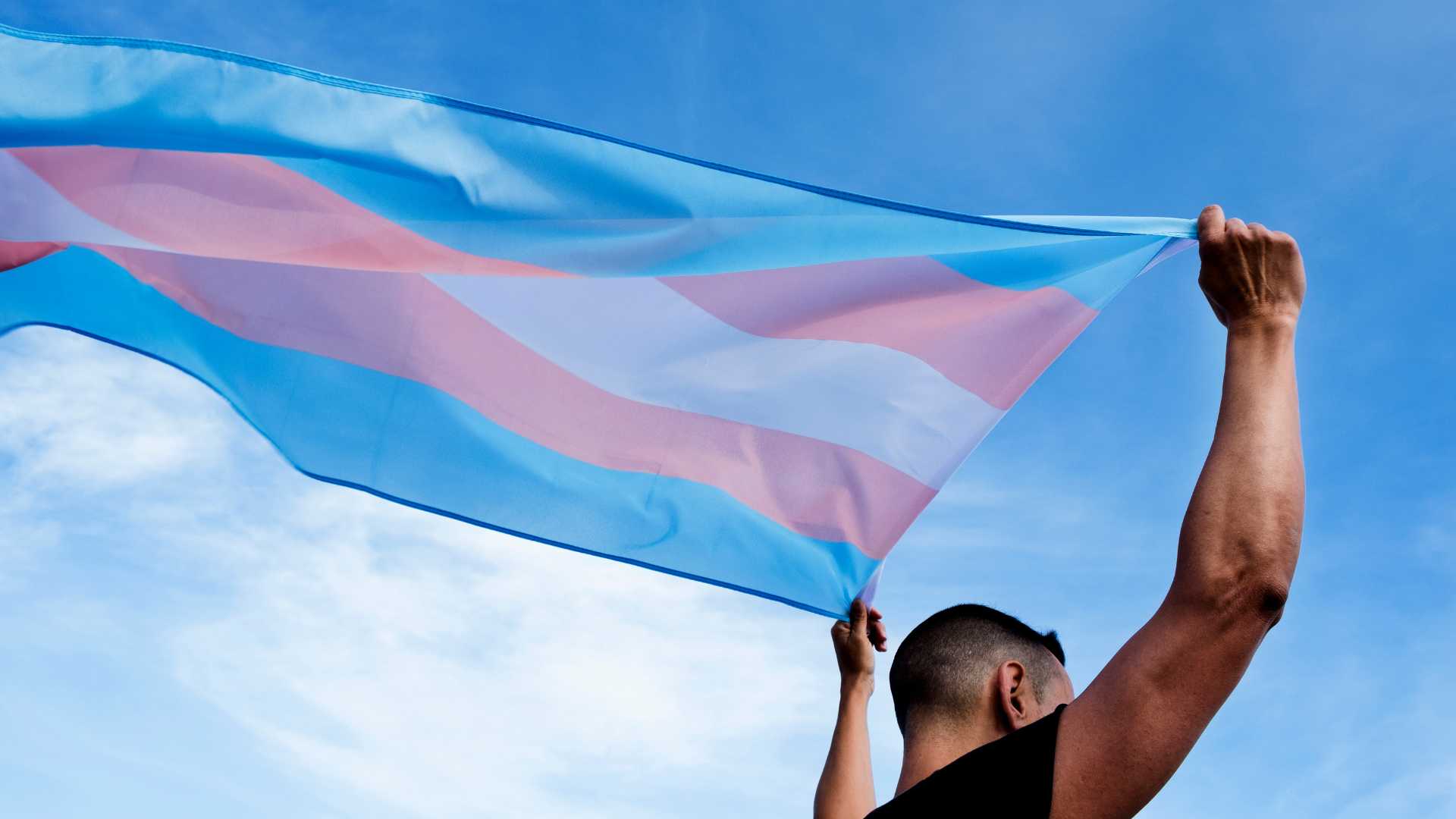 Drapeau transgenre 